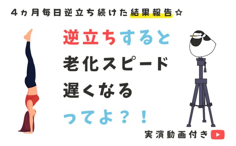 驚異の逆立ち アラフォー女が逆立ちをやり続けた結果 うしろのとこたん